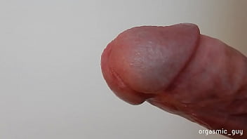 Circumcised Cock