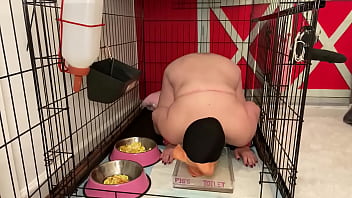 Fuckpig Porn Justafilthycunt Humiliating Degradation Pig Pissing Caged Piss Drinking And Eating From Bowls