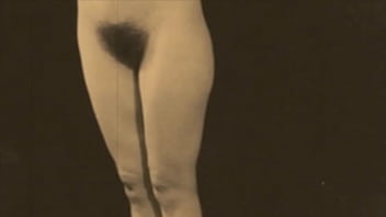 Vintage Hairy Pussy
